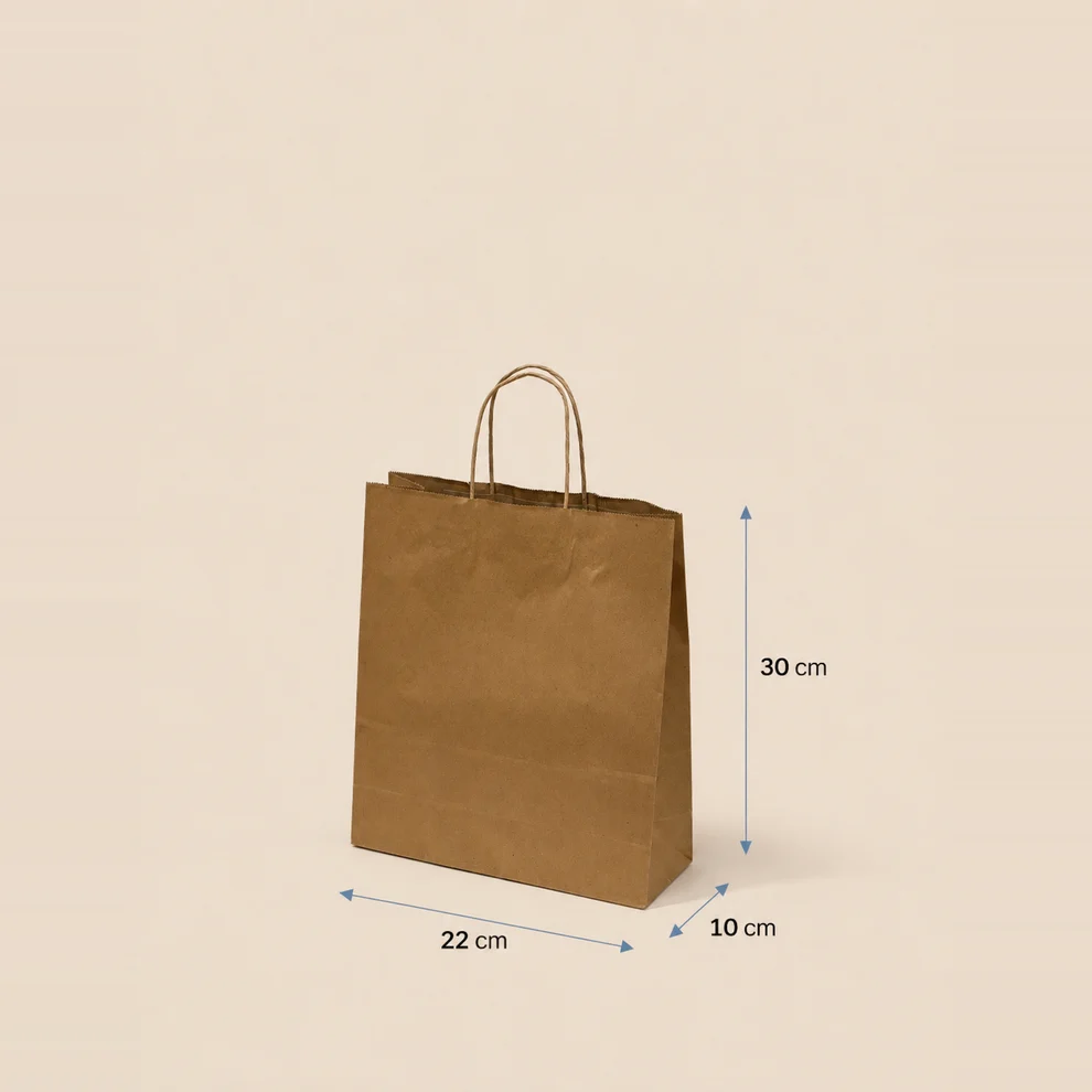 Bolsa De Papel Mediana 50 U